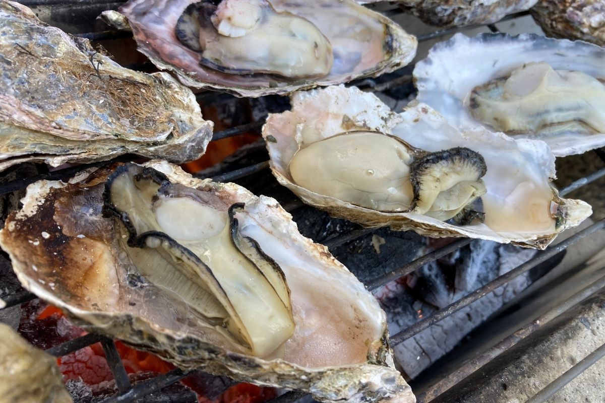 牡蠣のシーズン到来！岡山寄島の牡蠣をたっぷり堪能しょう｜おか旅 | 岡山観光WEB【公式】- 岡山県の観光・旅行情報ならココ！