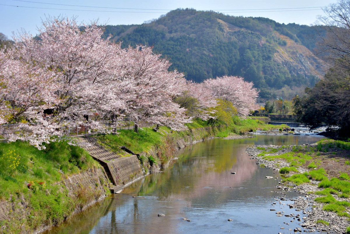 勝央町 ストア 服屋