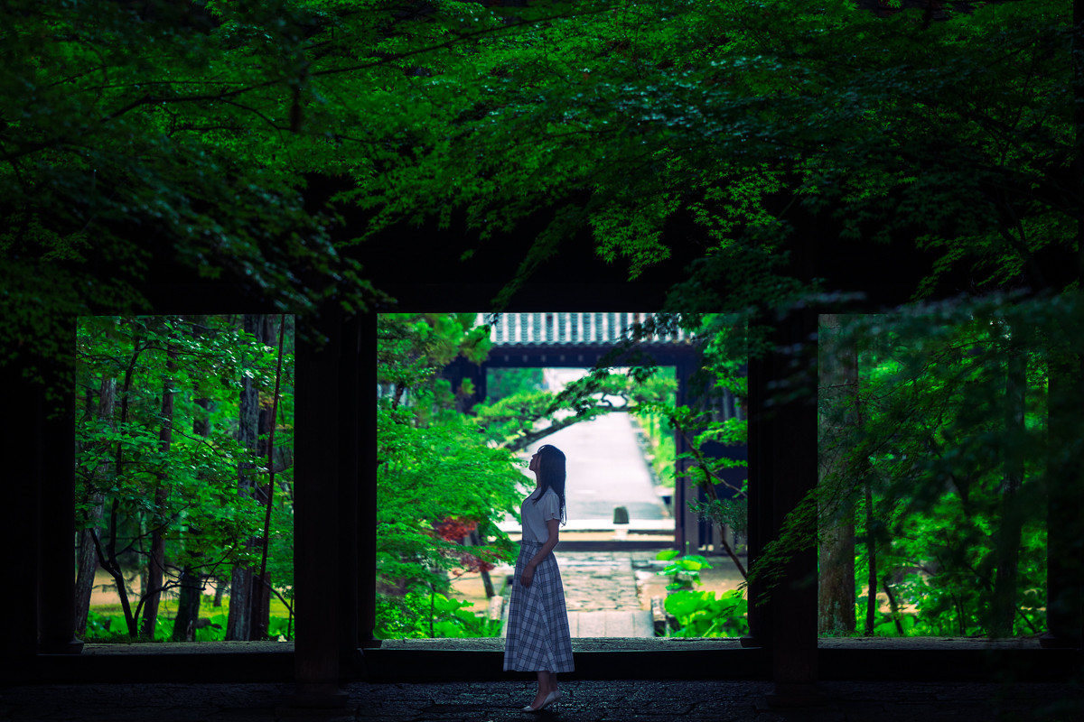 梅雨ならではの美しさ！岡山市の写真映えする庭園とお寺3選｜おか旅
