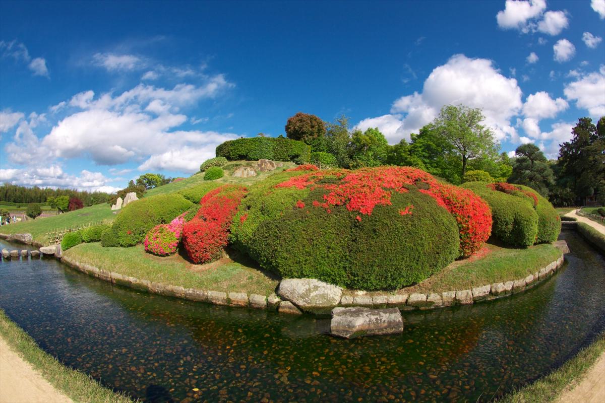 5月限定！地元カメラマンが選んだ岡山後楽園の美しすぎる花＆新緑フォトスポット7選｜おか旅 | 岡山観光WEB【公式】- 岡山県の観光・旅行情報ならココ！