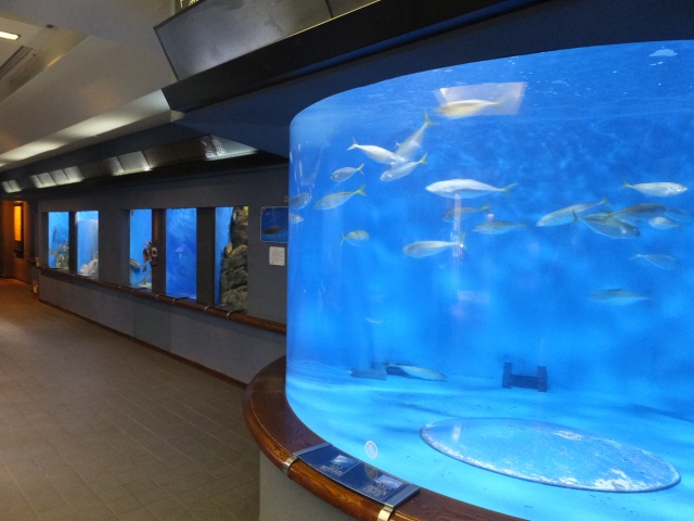 雨の日でも楽しめる!家族のお出かけスポット5選