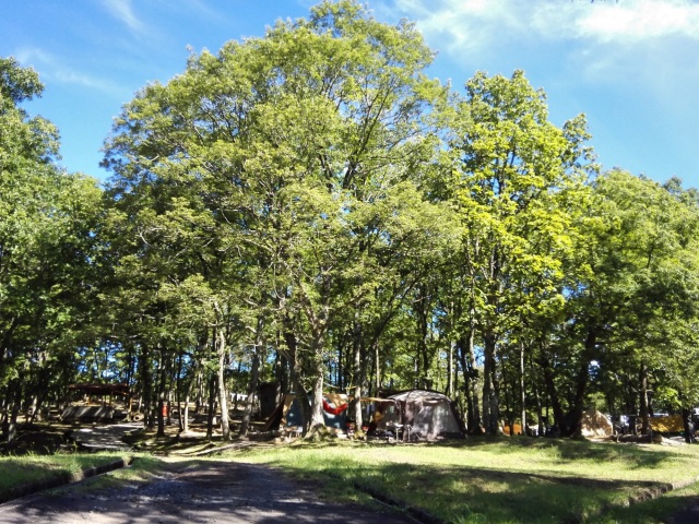 健康のまち鏡野町で快適キャンプ! 心身ともにリフレッシュしよう