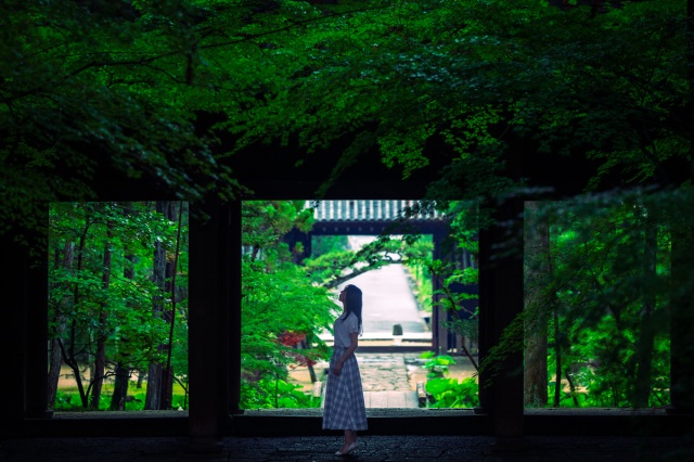 梅雨ならではの美しさ!岡山市の写真映えする庭園とお寺3選