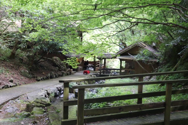 流しそうめんと滝でクールダウン!「涼」を求めて津山市の「もみじ亭」へ