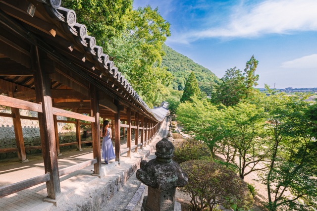 アジサイが見頃の「吉備津神社」は国宝本殿・再建600年!壮麗な廻廊もご紹介