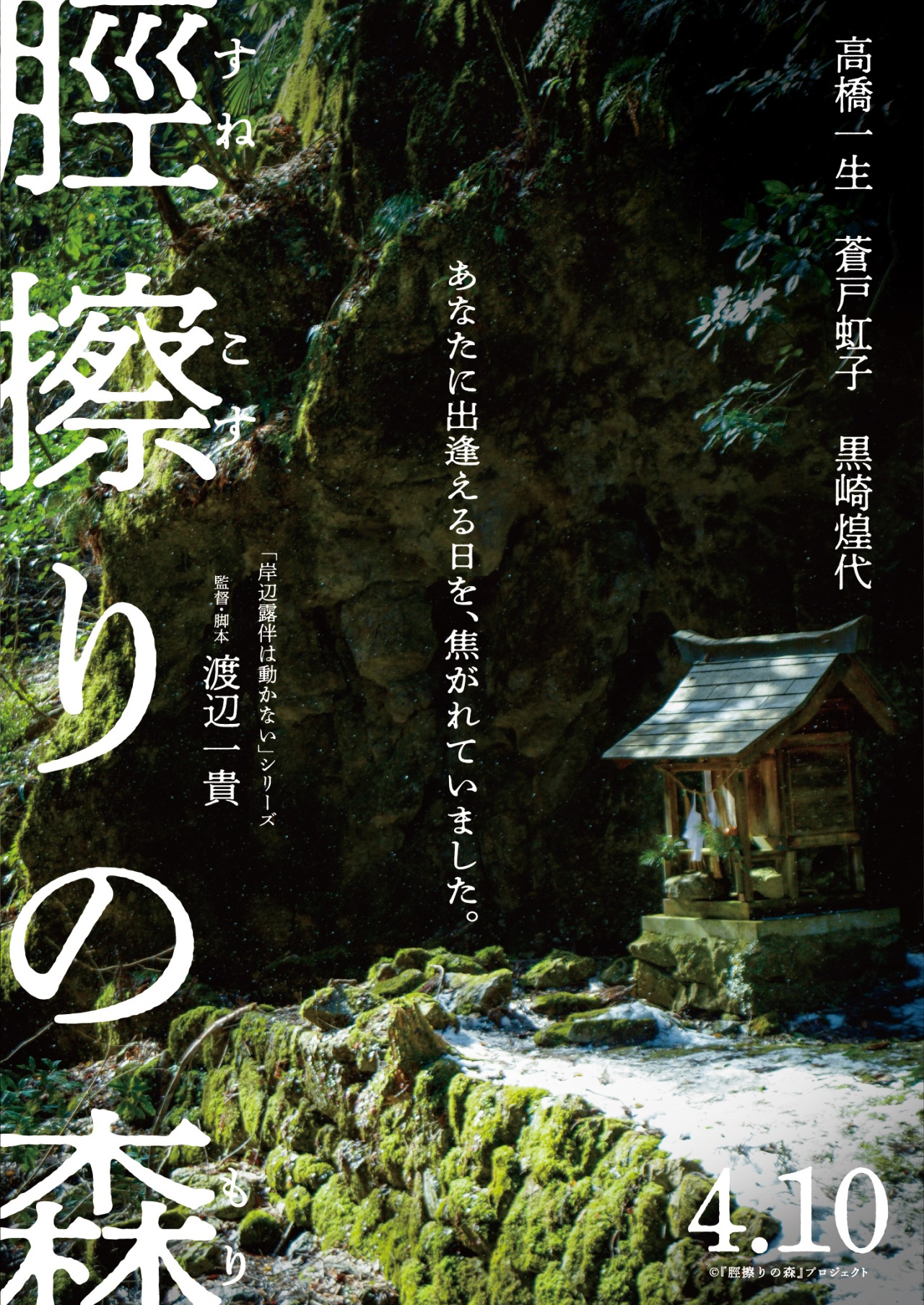 ©『脛擦りの森』プロジェクト
