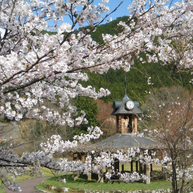 レイクパークKAMO