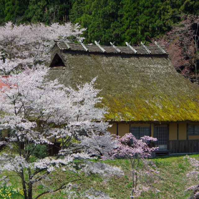 クリエイト菅谷