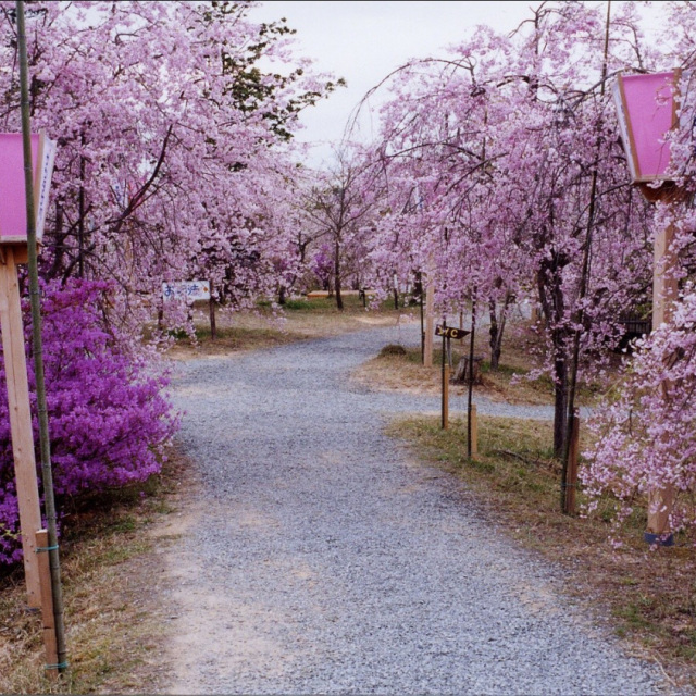 たけべの森公園