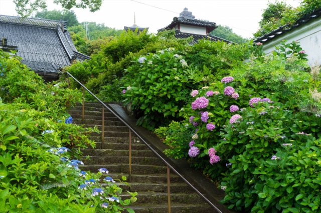 長法寺(津山市)