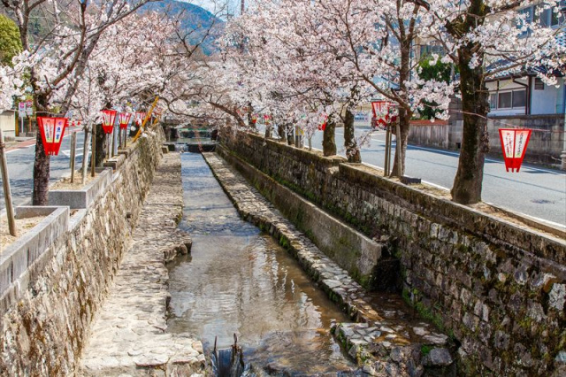 紺屋川美観地区