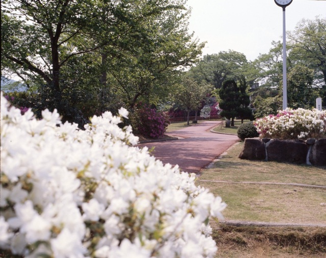 城山公園