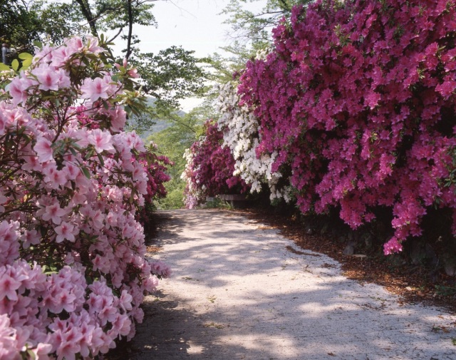 城山公園
