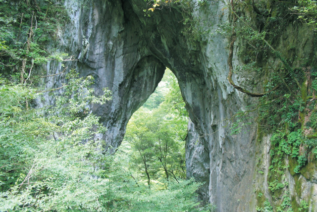 羅生門