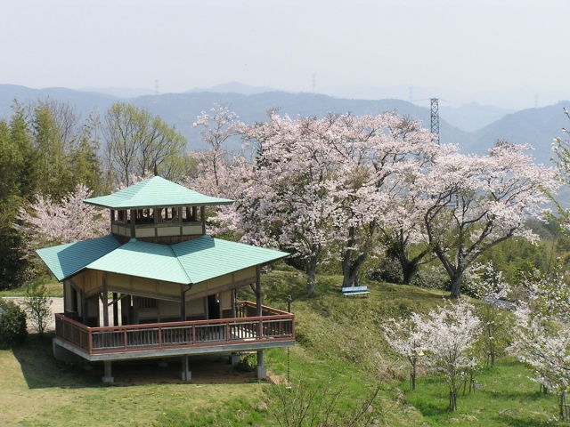 石蓮寺みんなの森