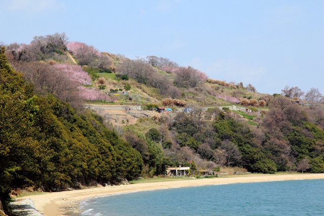 瀬戸内海国立公園寄島園地