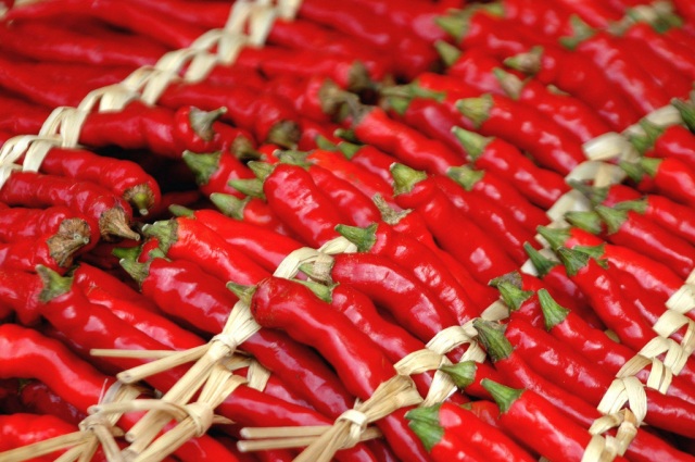 姫とうがらし(辛美人)