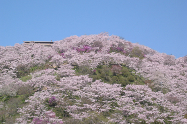三休公園