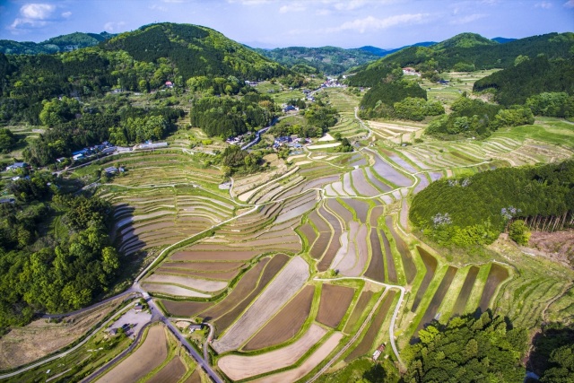 日本の棚田百選 大垪和西の棚田