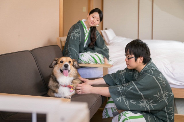 わんこと泊まれる旅館 わんこあん