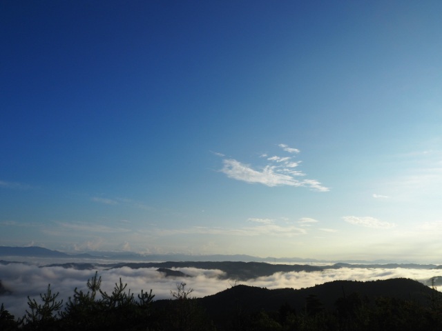 【2026年】大芦高原 初日の出まつり