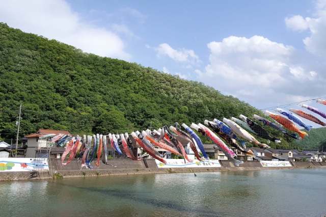 小田川のこいのぼり