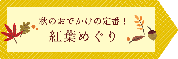 秋のおでかけの定番！紅葉めぐり