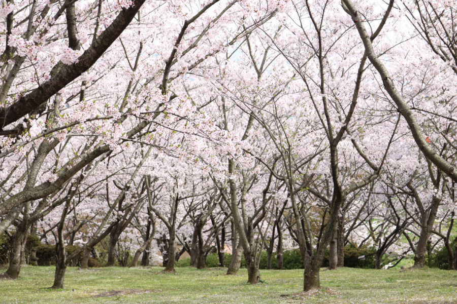 円通寺公園