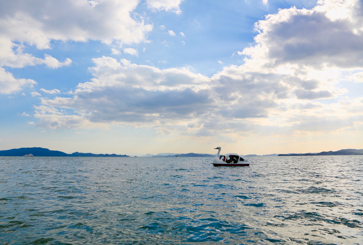 Shimabuku, Swan goes to the Sea, 2014 　Performance view: “Imagineering” Okayama Art Project　 　©Shimabuku Courtesy of the artist