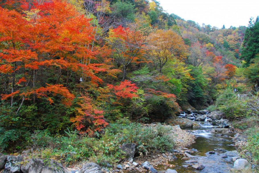 第18回 三室峡紅葉まつり