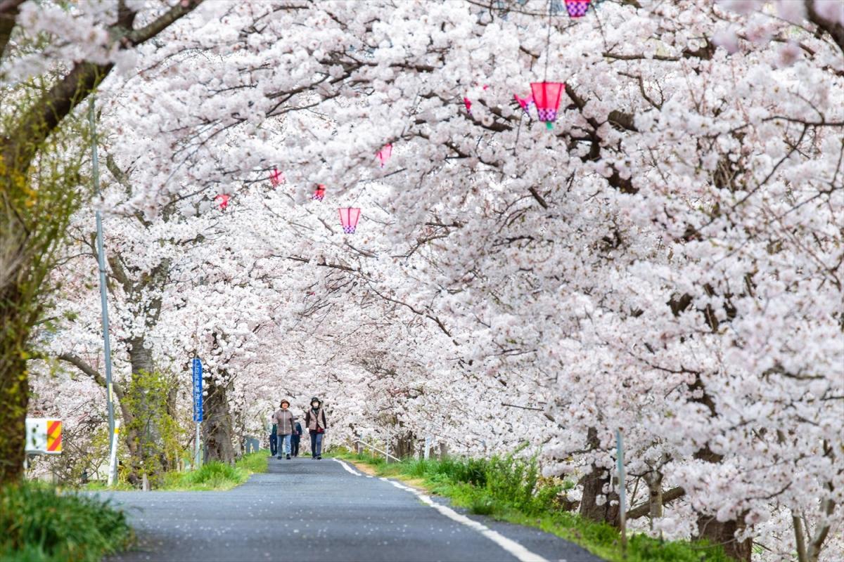 井原堤