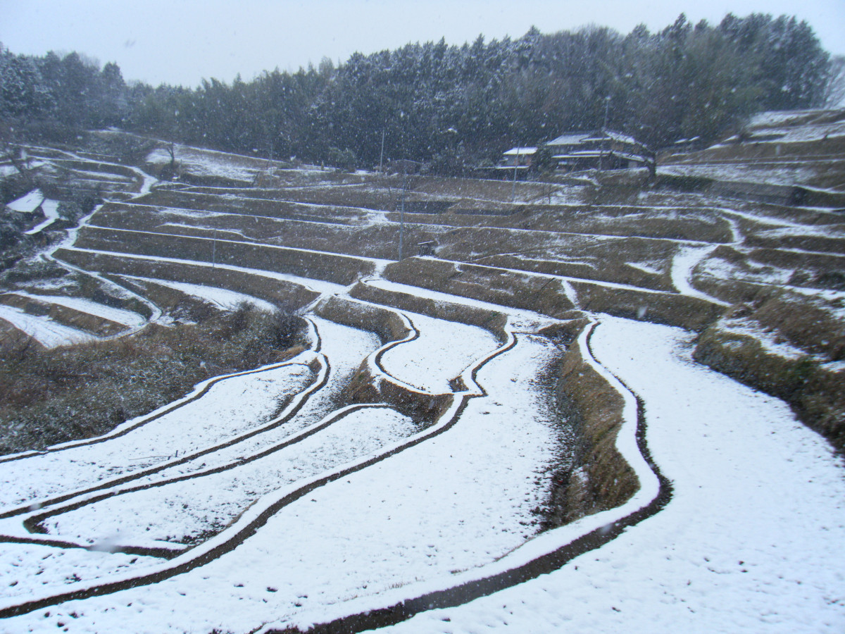 雪景色