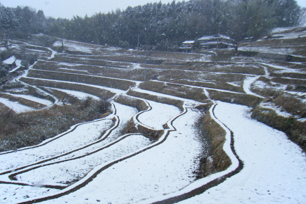 雪景色