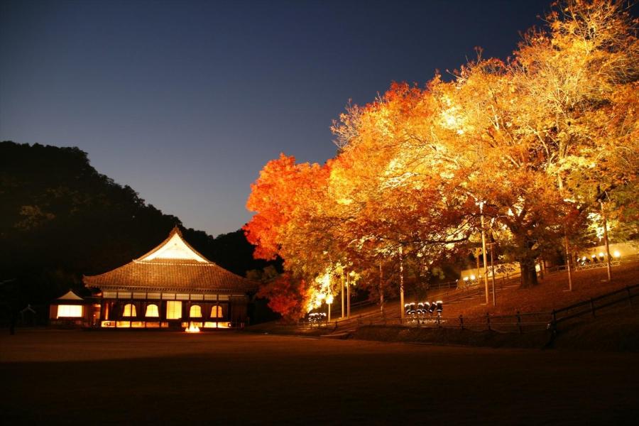 旧閑谷学校ライトアップ イベント 岡山観光web 公式 岡山県の観光 旅行情報ならココ