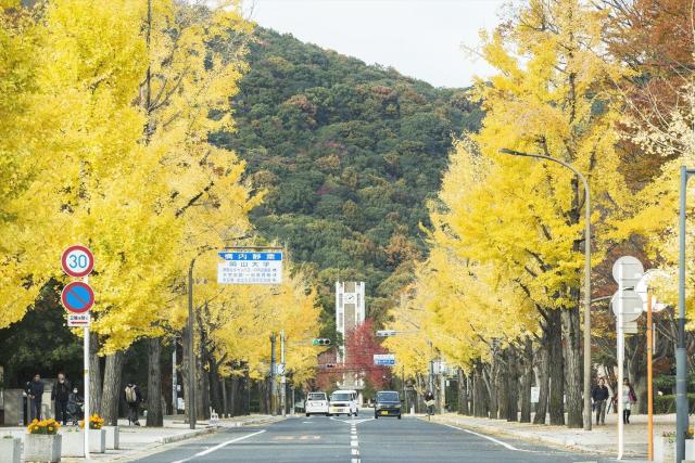 国立岡山大学（津島キャンパス）