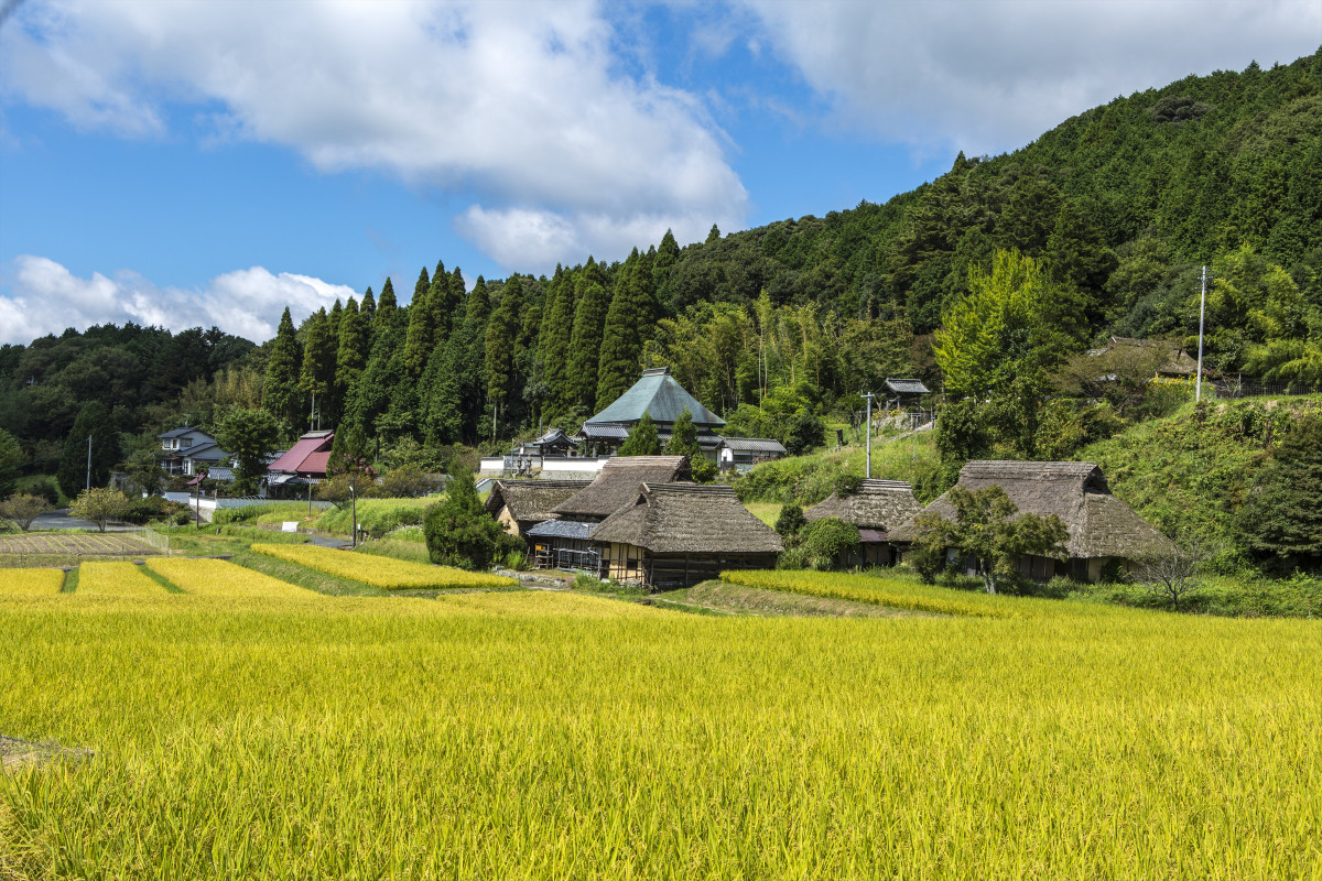 八塔寺ふるさと村