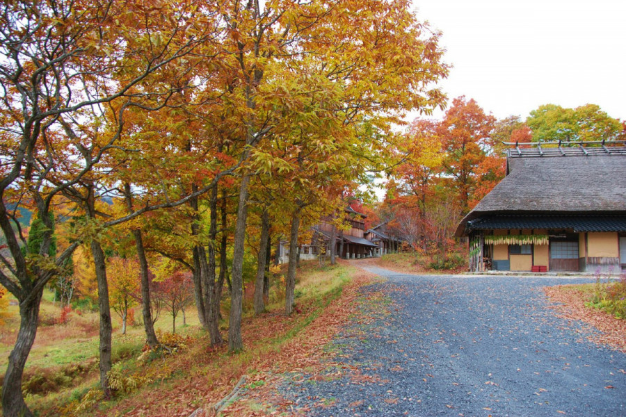 【森の芸術祭開催エリア】鏡野のアートと秋の美景をめぐる1泊2日コース