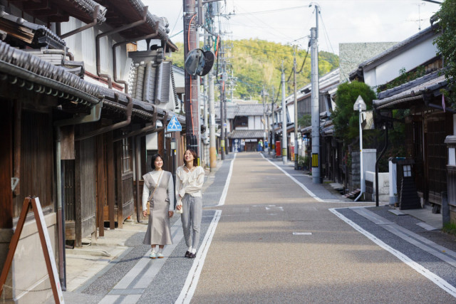 城東町並み（重要伝統的建造物群保存地区）