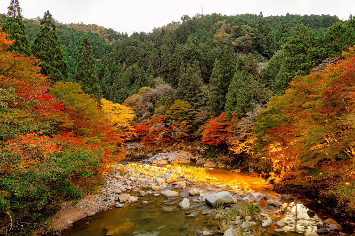 奥津渓（紅葉）