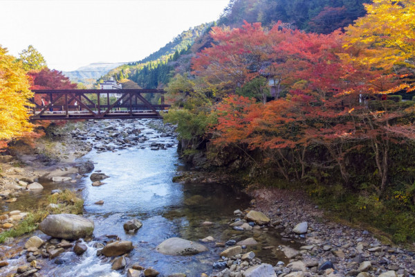 奥津渓（紅葉）