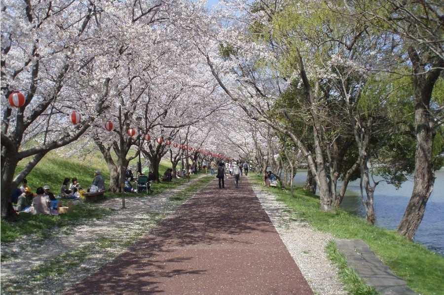 酒津公園