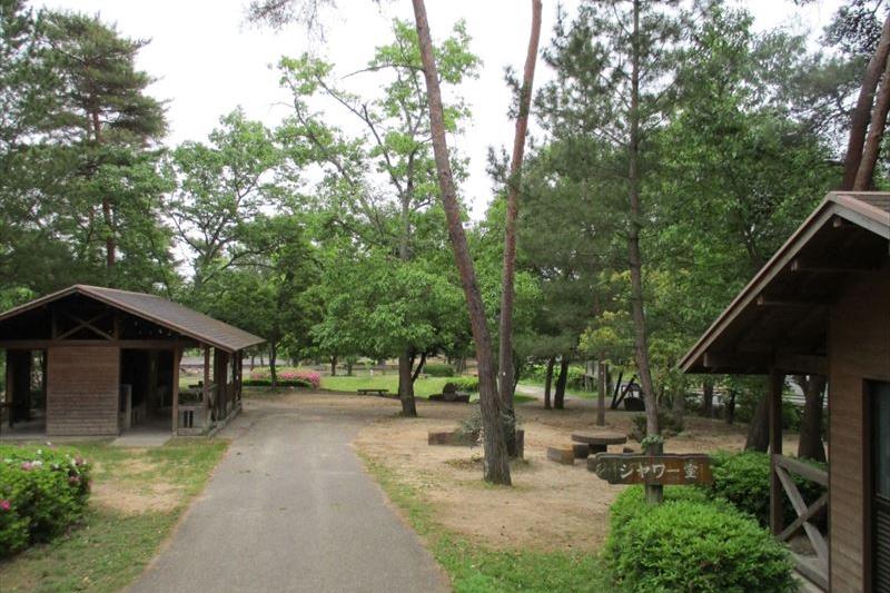 砂川公園キャンプ場