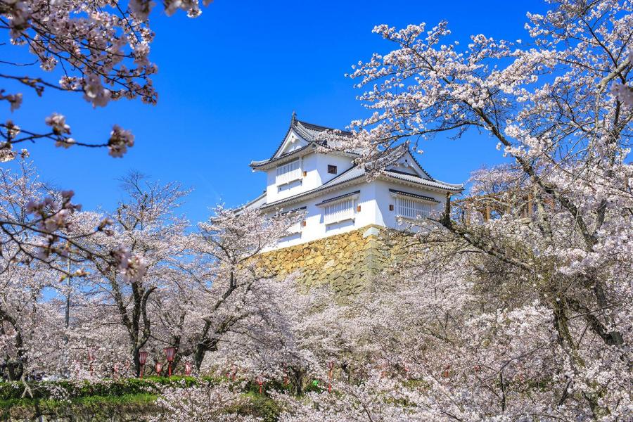 津山城（鶴山公園）