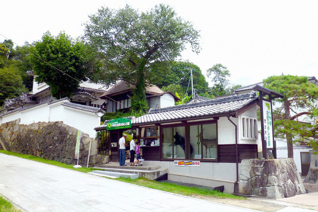 つやま自然のふしぎ館（森芸作品展示会場）