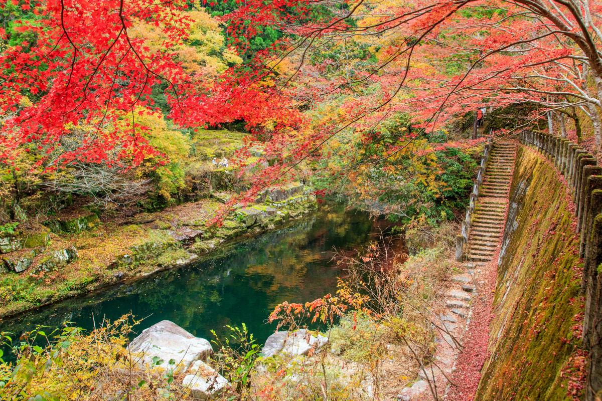 奥津渓（紅葉）