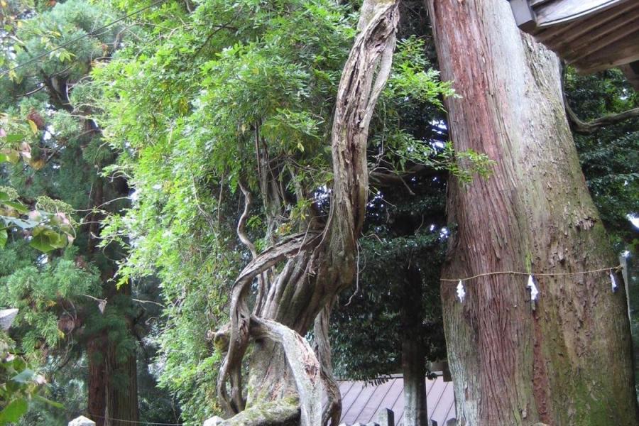 千磐神社