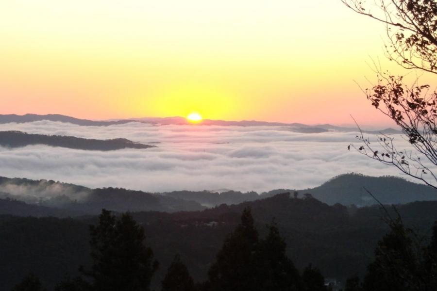 弥高山公園