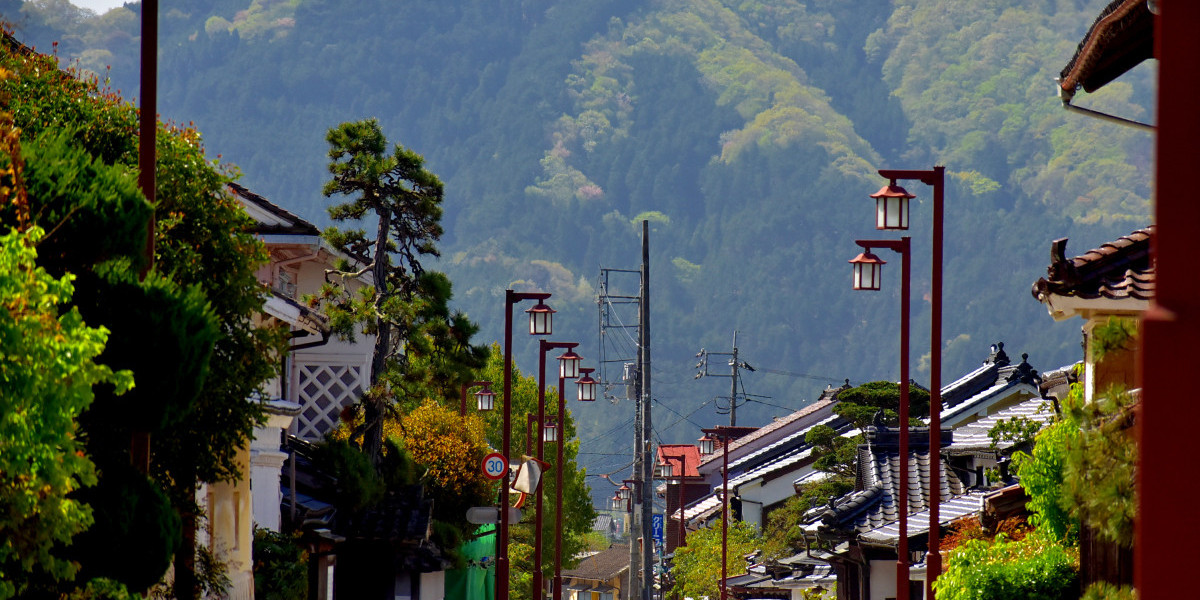 水路のある町「因幡街道大原宿」まちあるき（美作市）