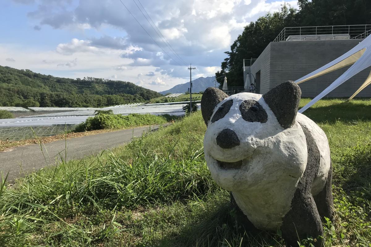 飲む人も飲まない人も楽しめる！自然の中の県北おすすめワイナリー