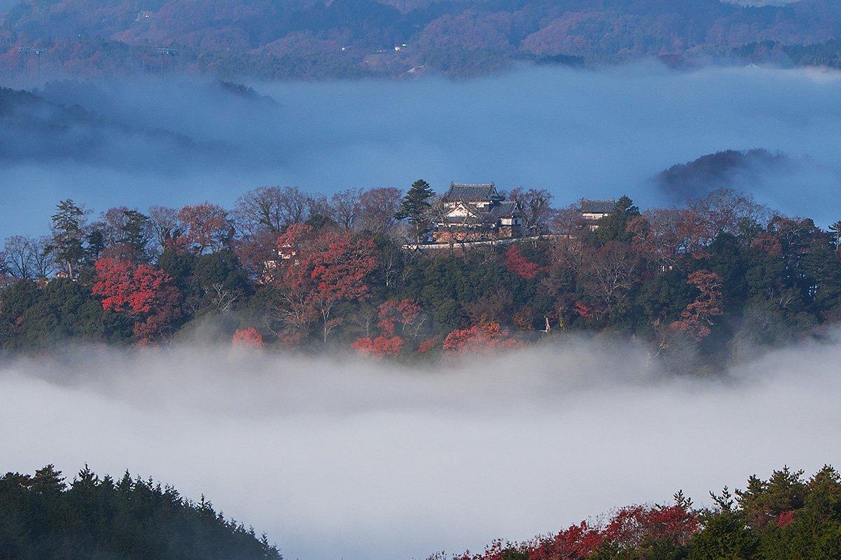 雲海シーズン到来！ 一度は見てみたい岡山の絶景雲海スポット5選｜おか